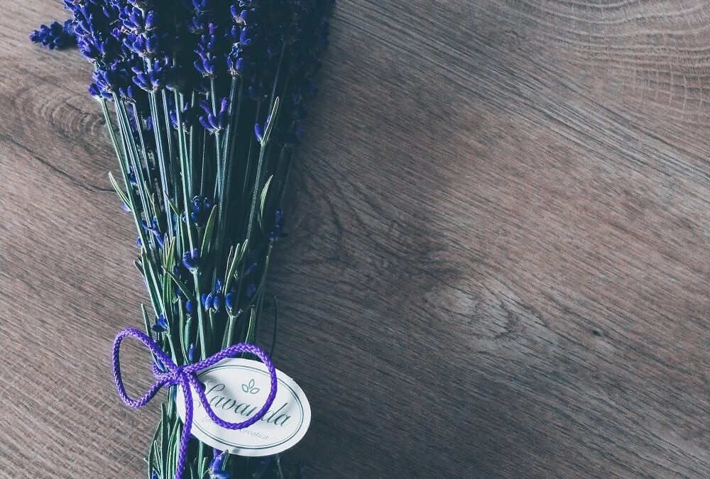 A lavanda Francesa e seu potencial coringa na aromaterapia